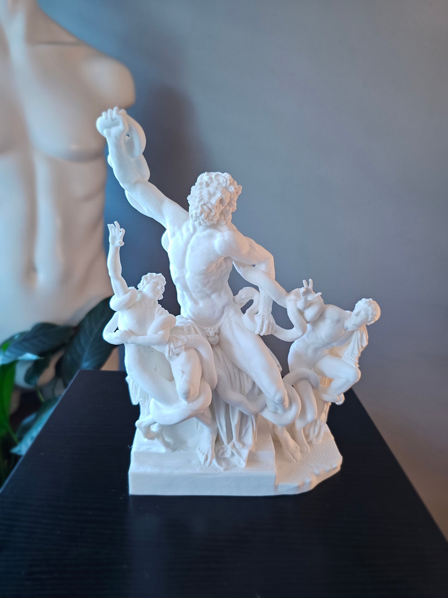 Laocoon And His Sons