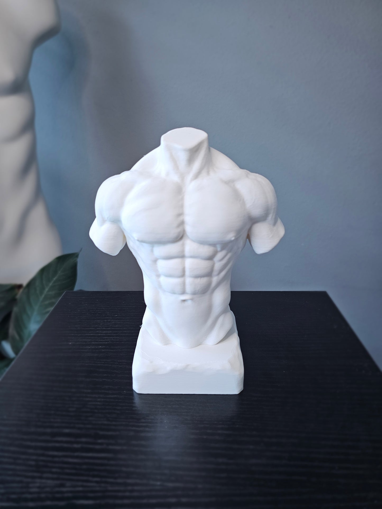 Muscular Torso