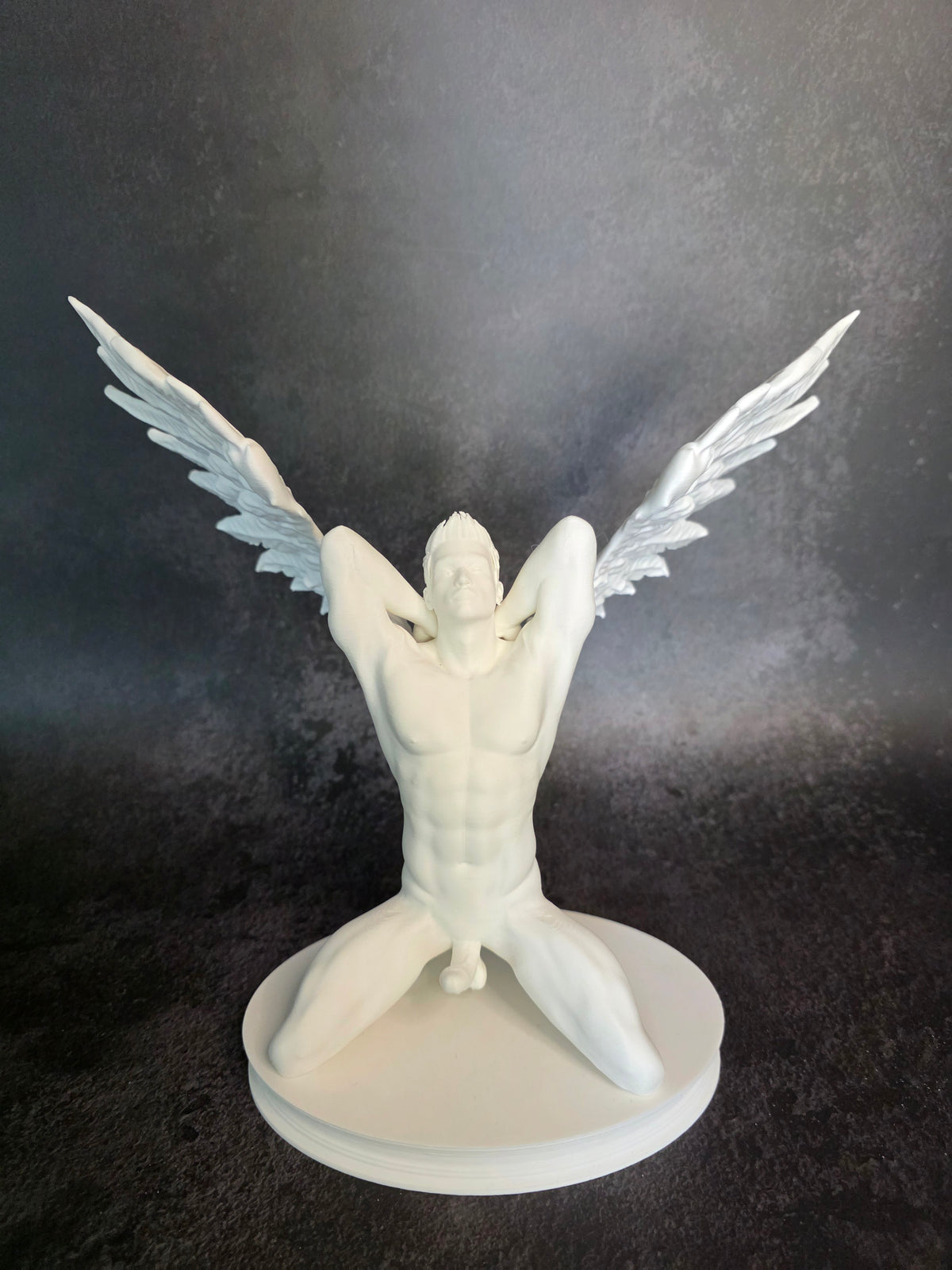Winged Wonder