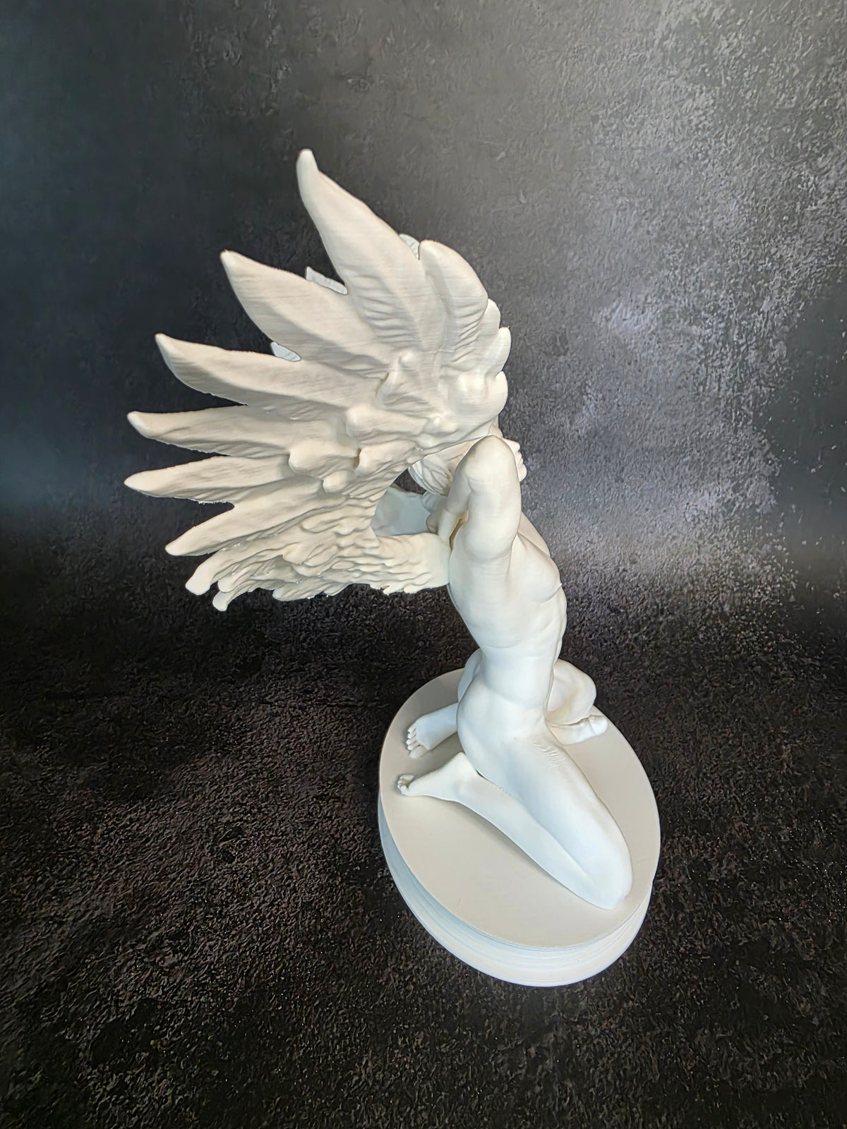 Winged Wonder