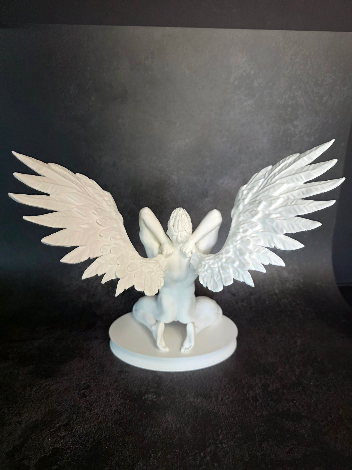 Winged Wonder