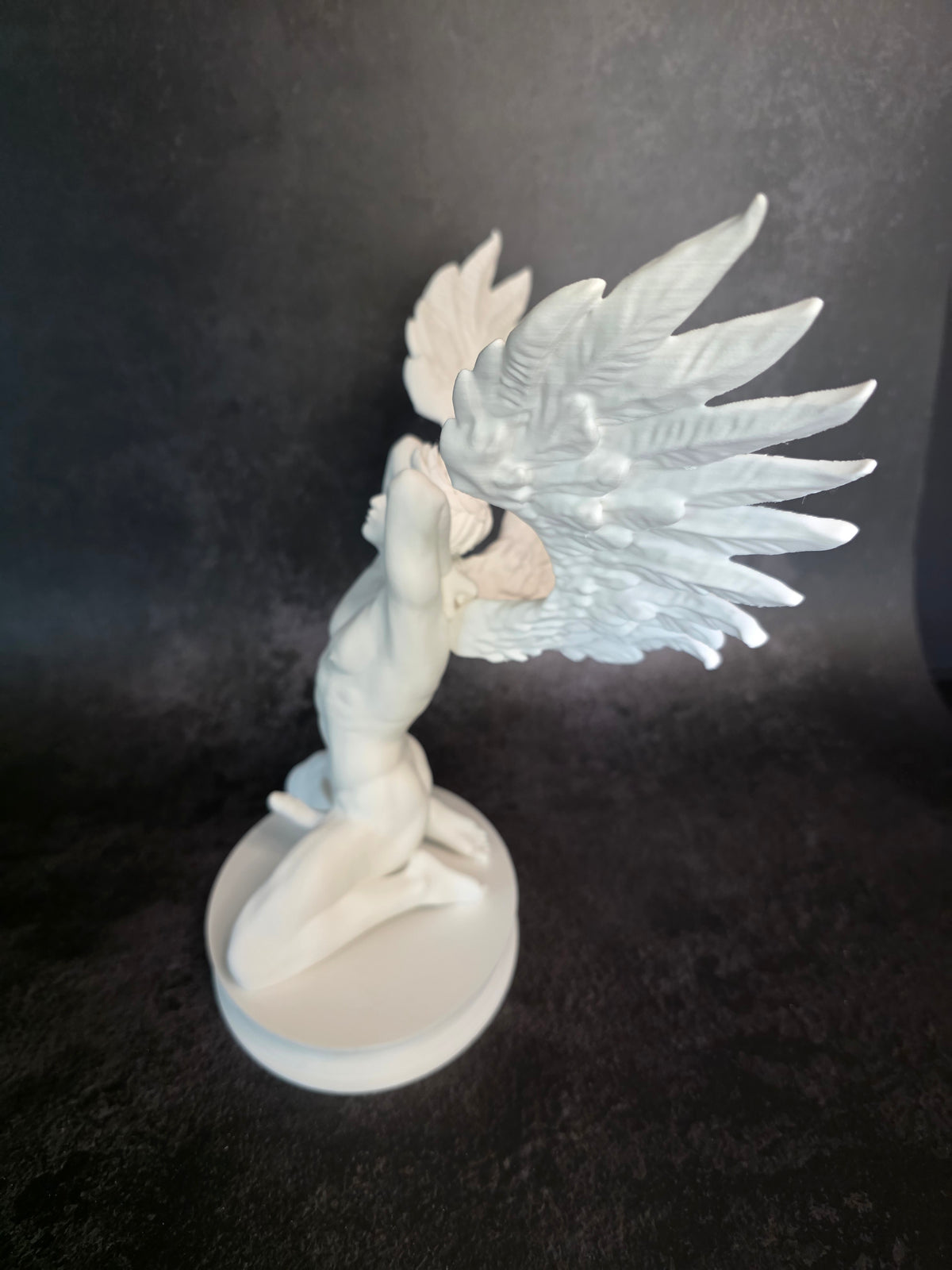 Winged Wonder