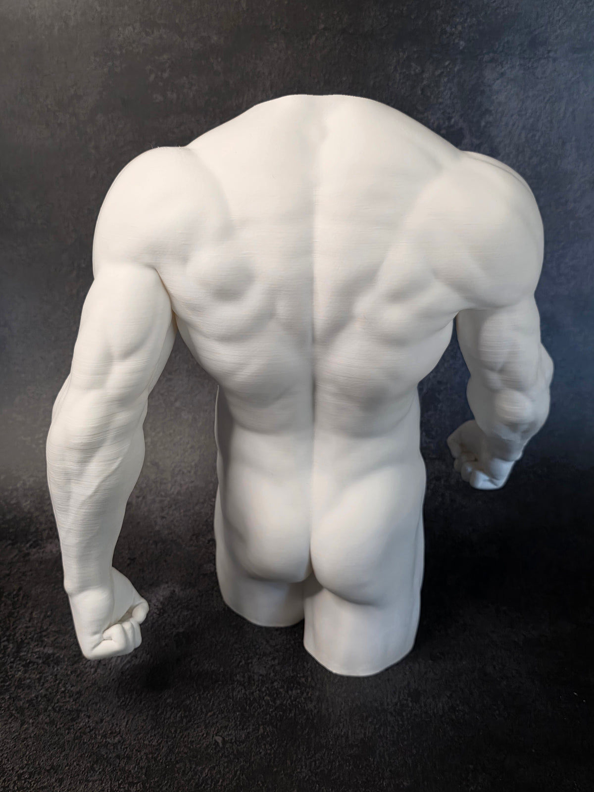 Large Male Figure Study