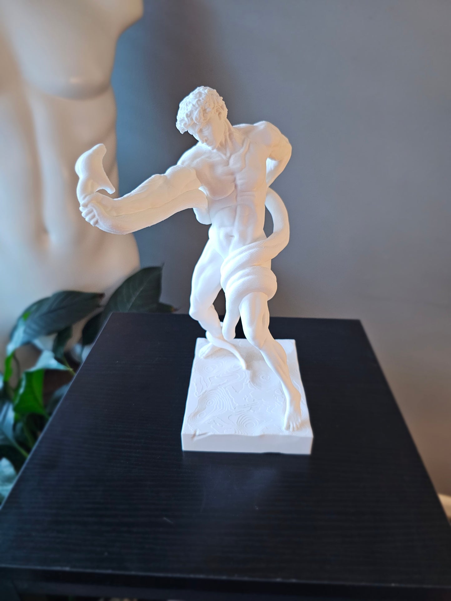 Athlete Wrestling Python