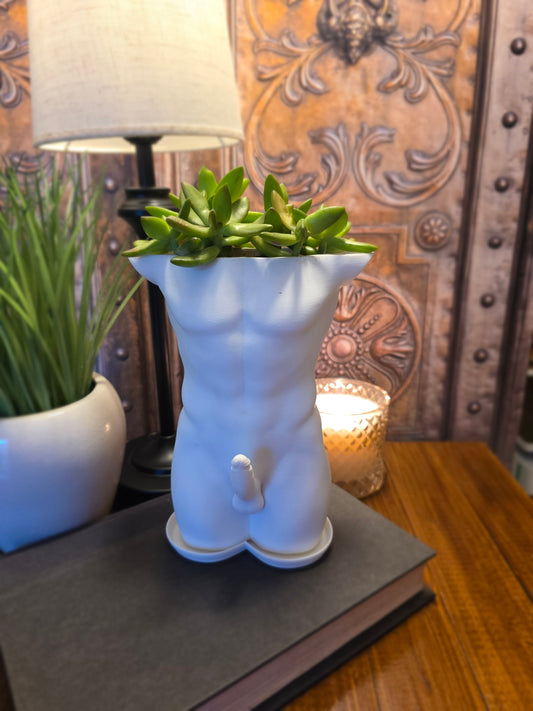 Large Male Erect Planter