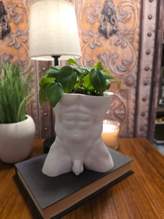 Large Male Planter