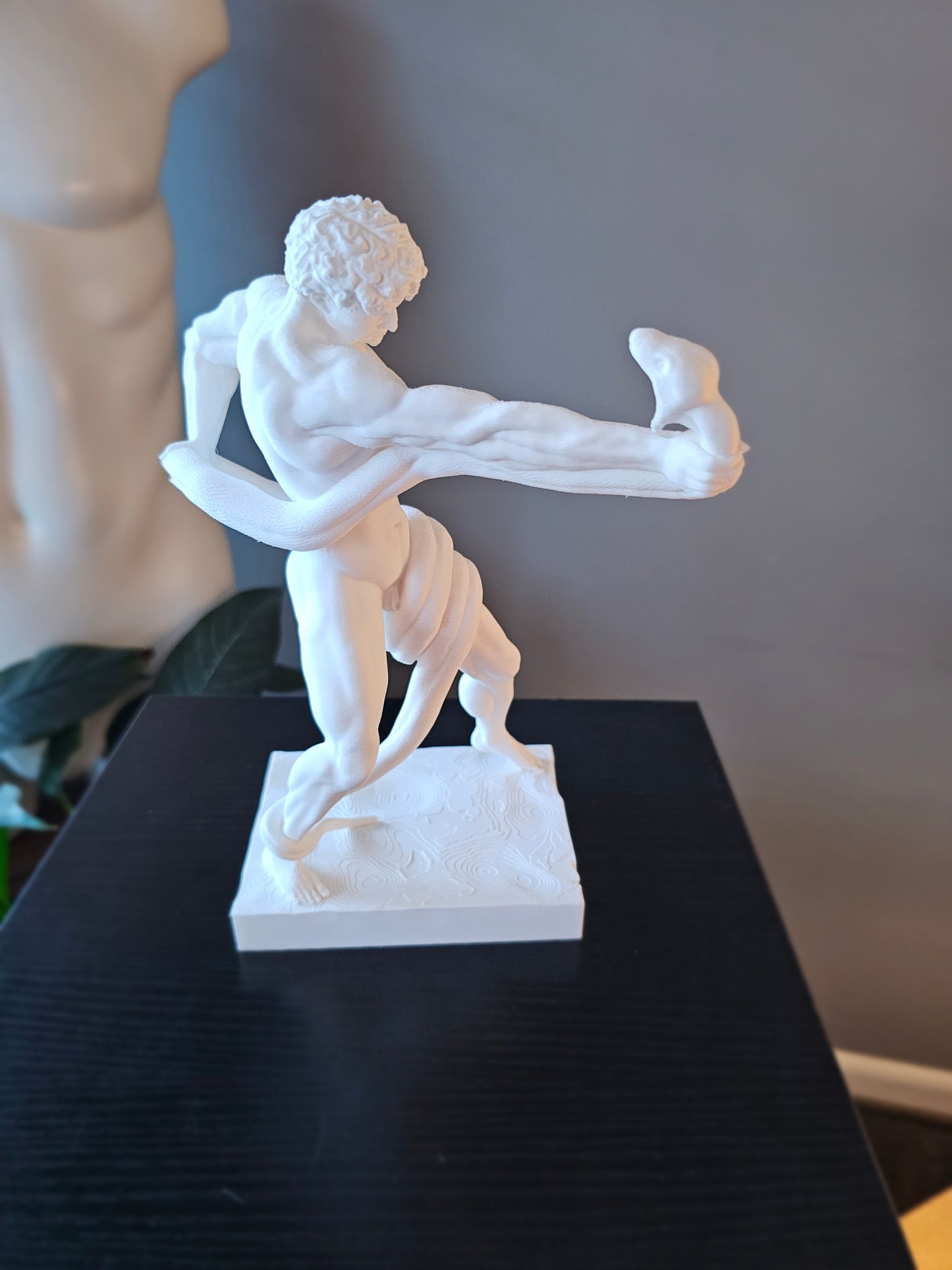 Athlete Wrestling Python