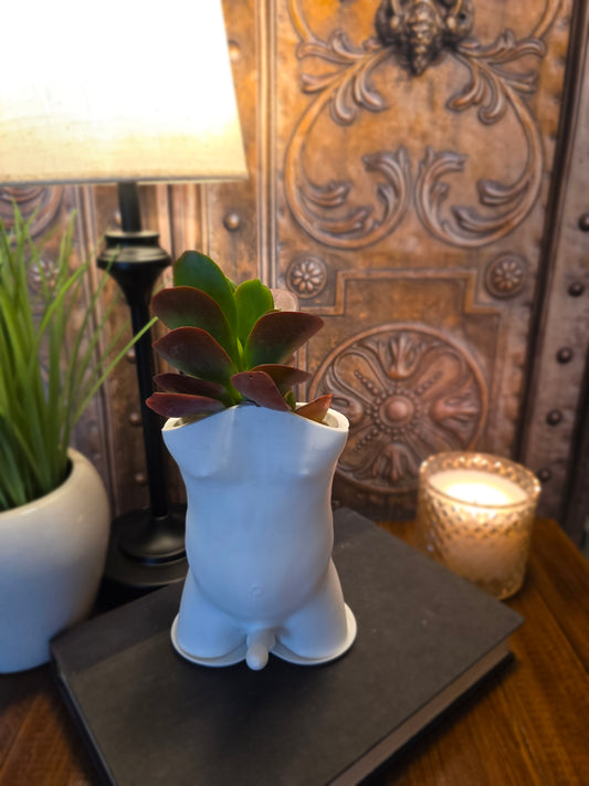 Dad Bod Planter