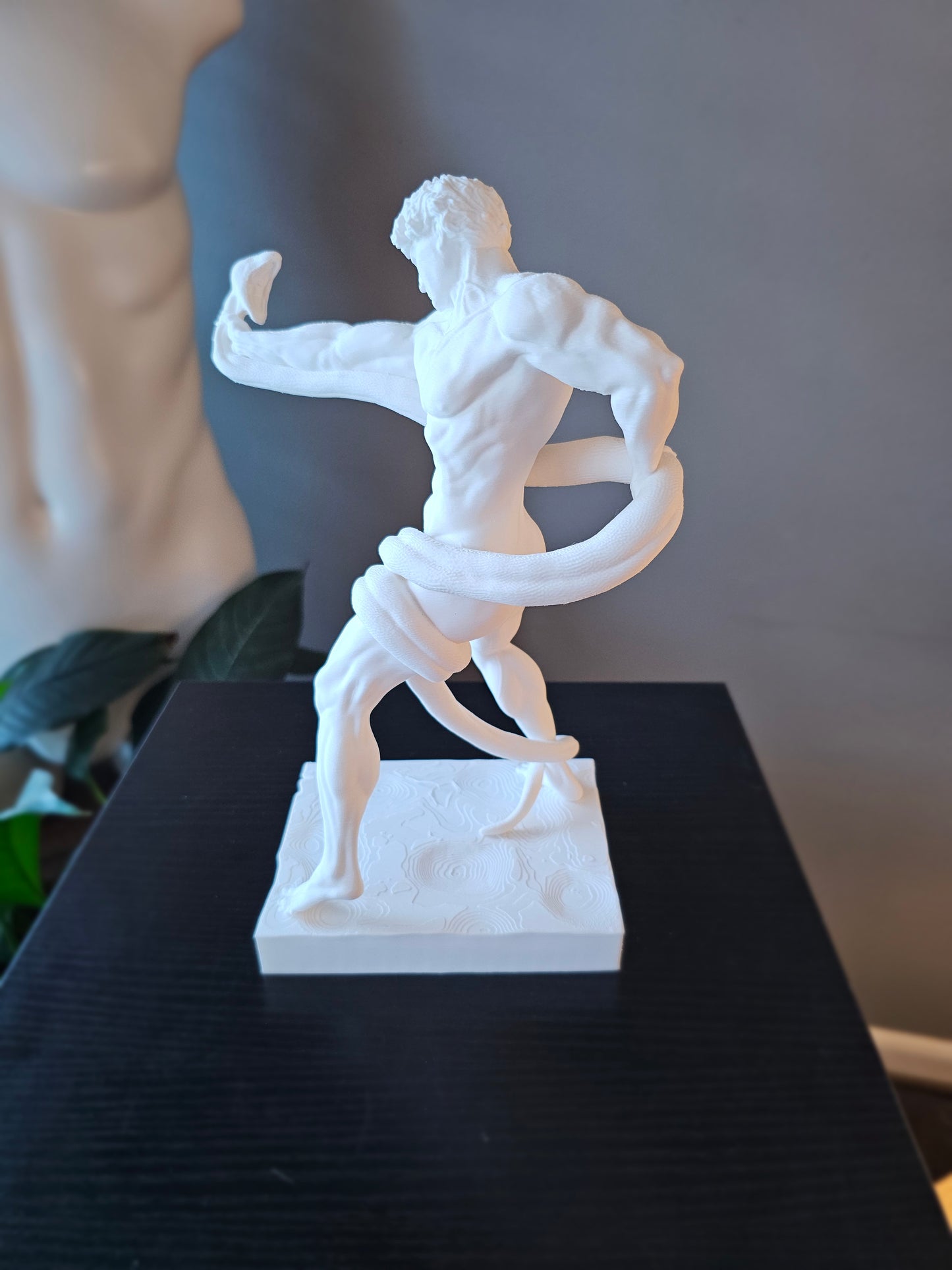 Athlete Wrestling Python – All The Kings Men