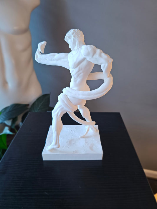 Athlete Wrestling Python