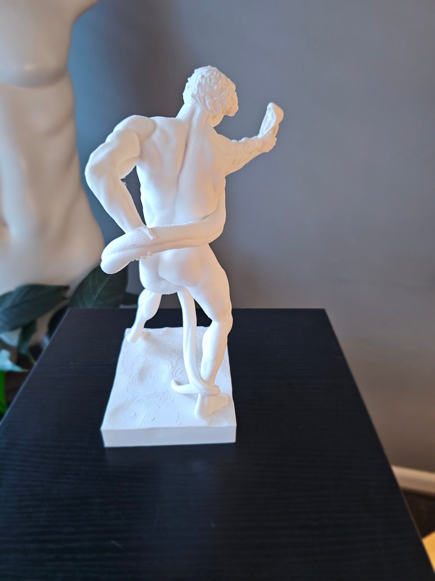 Athlete Wrestling Python