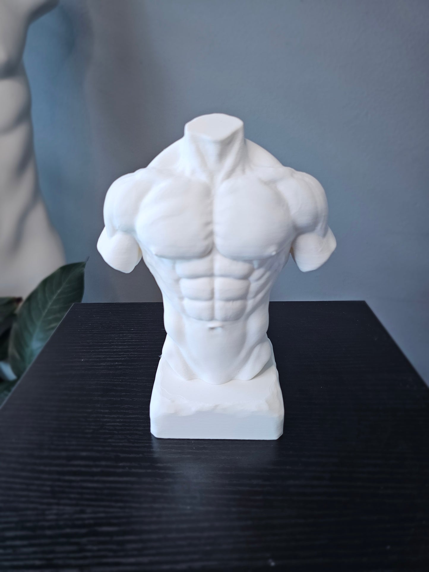 Muscular Torso