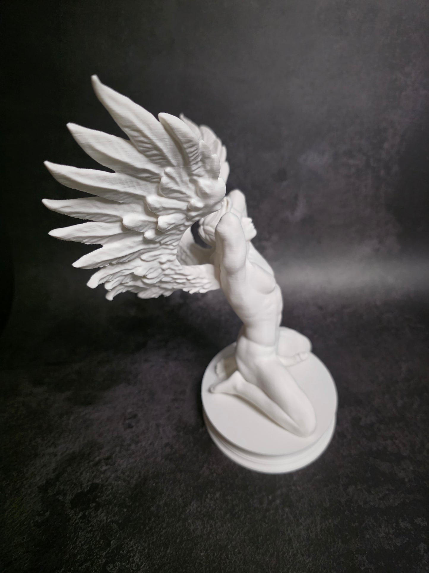 Winged Wonder