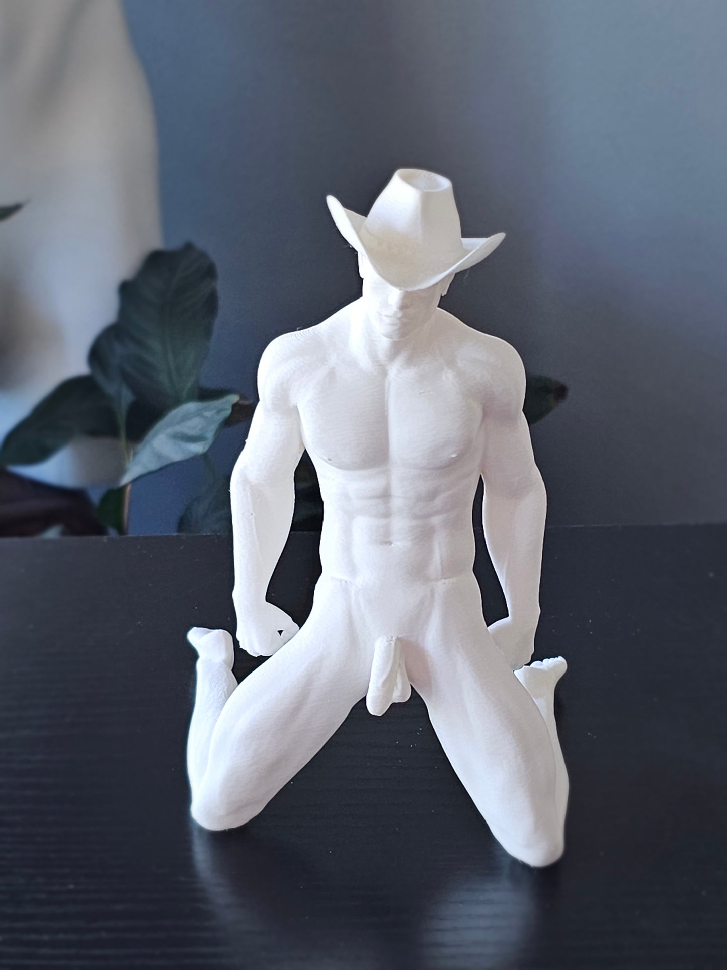 Paint at Home Cowboy Kit  Lean Into It