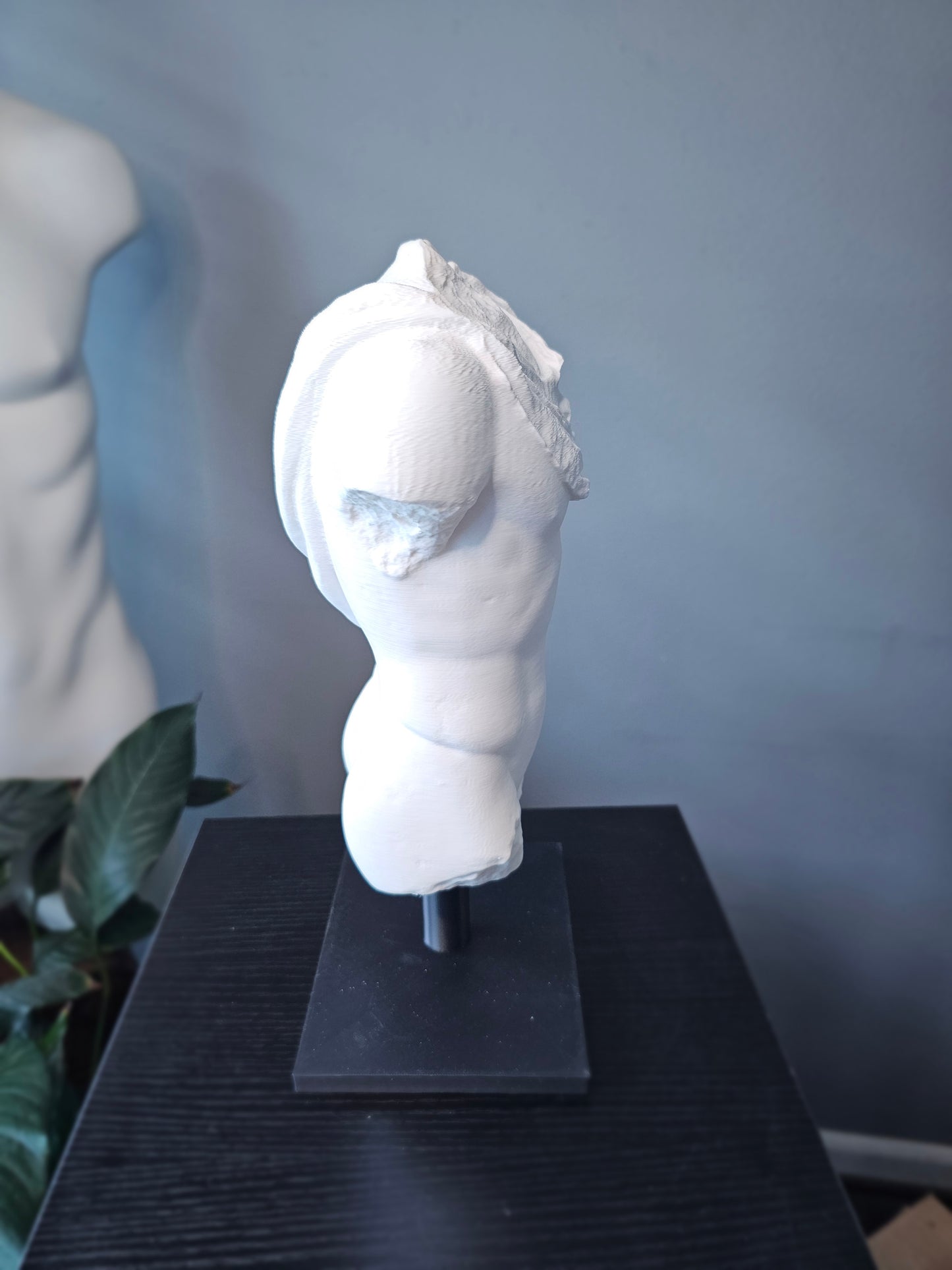 Roman Torso Small