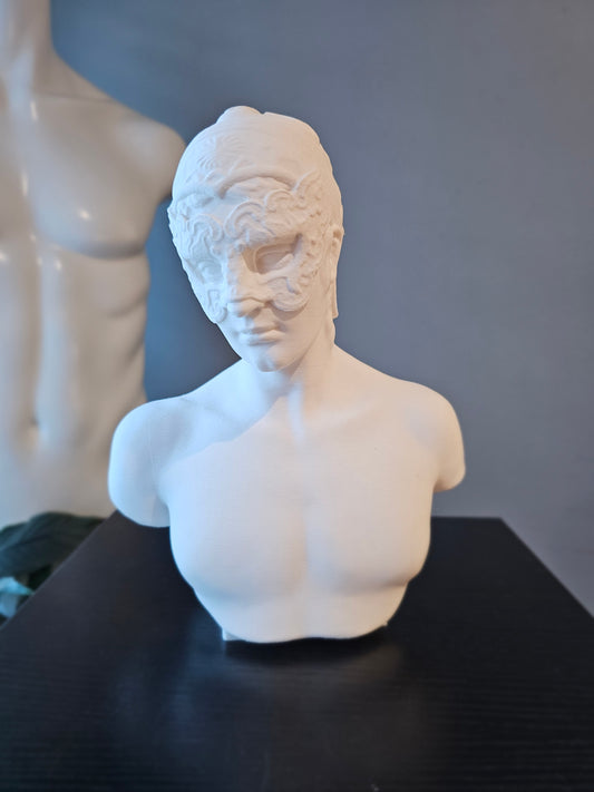 Masquerade Bust