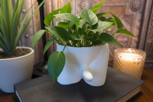 Small Erect Planter
