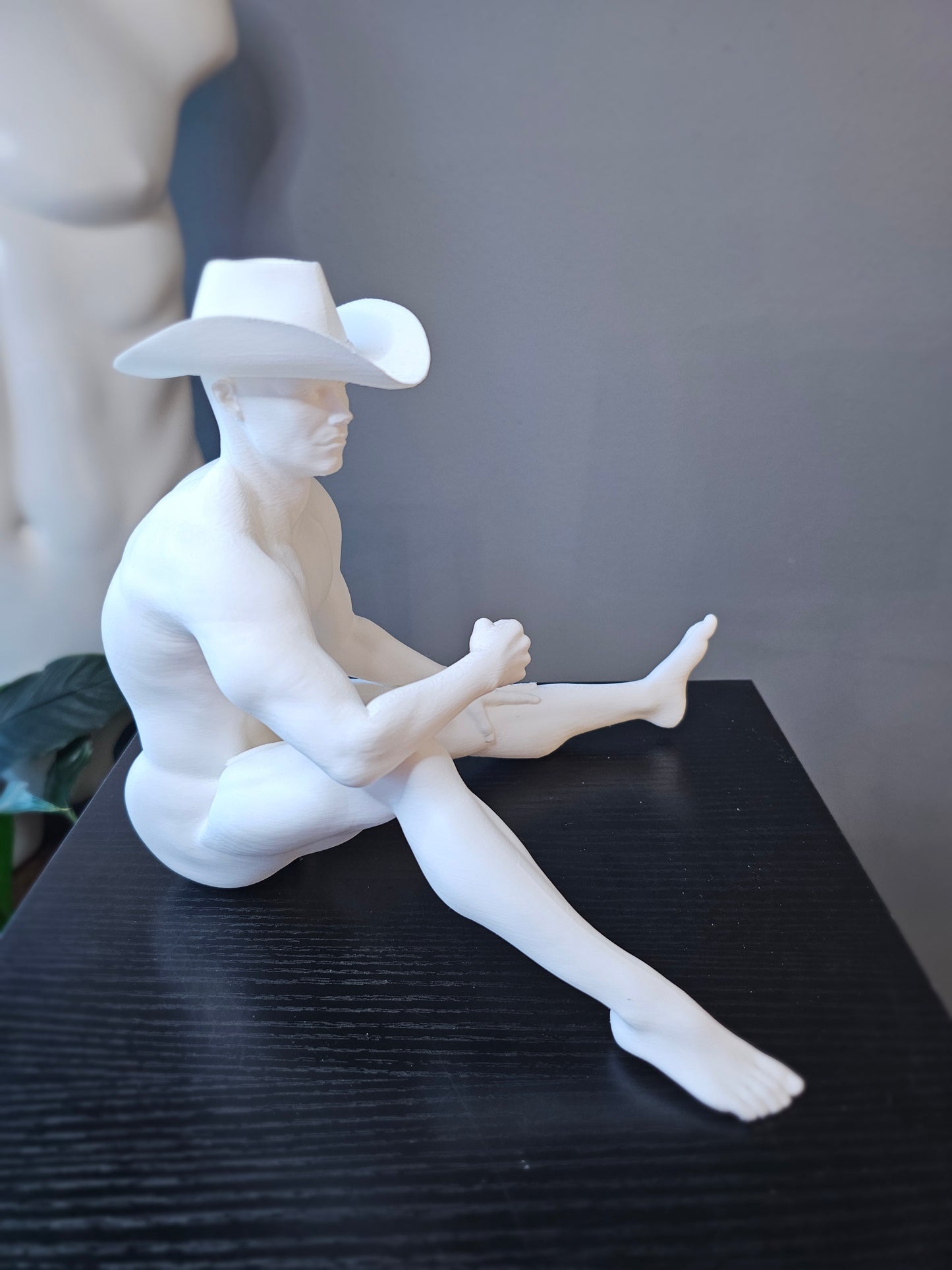 Cowboy Sitting