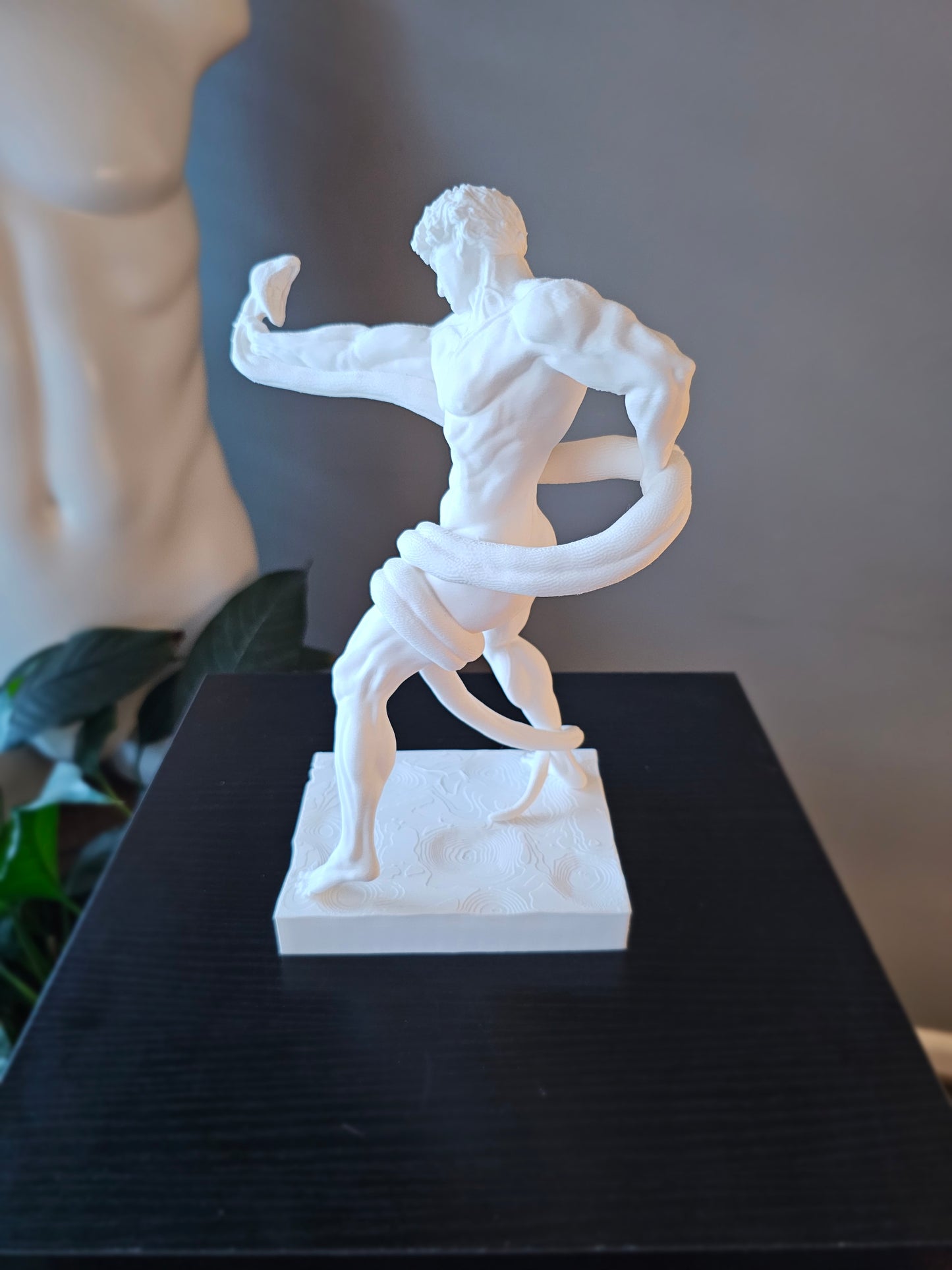 Athlete Wrestling Python