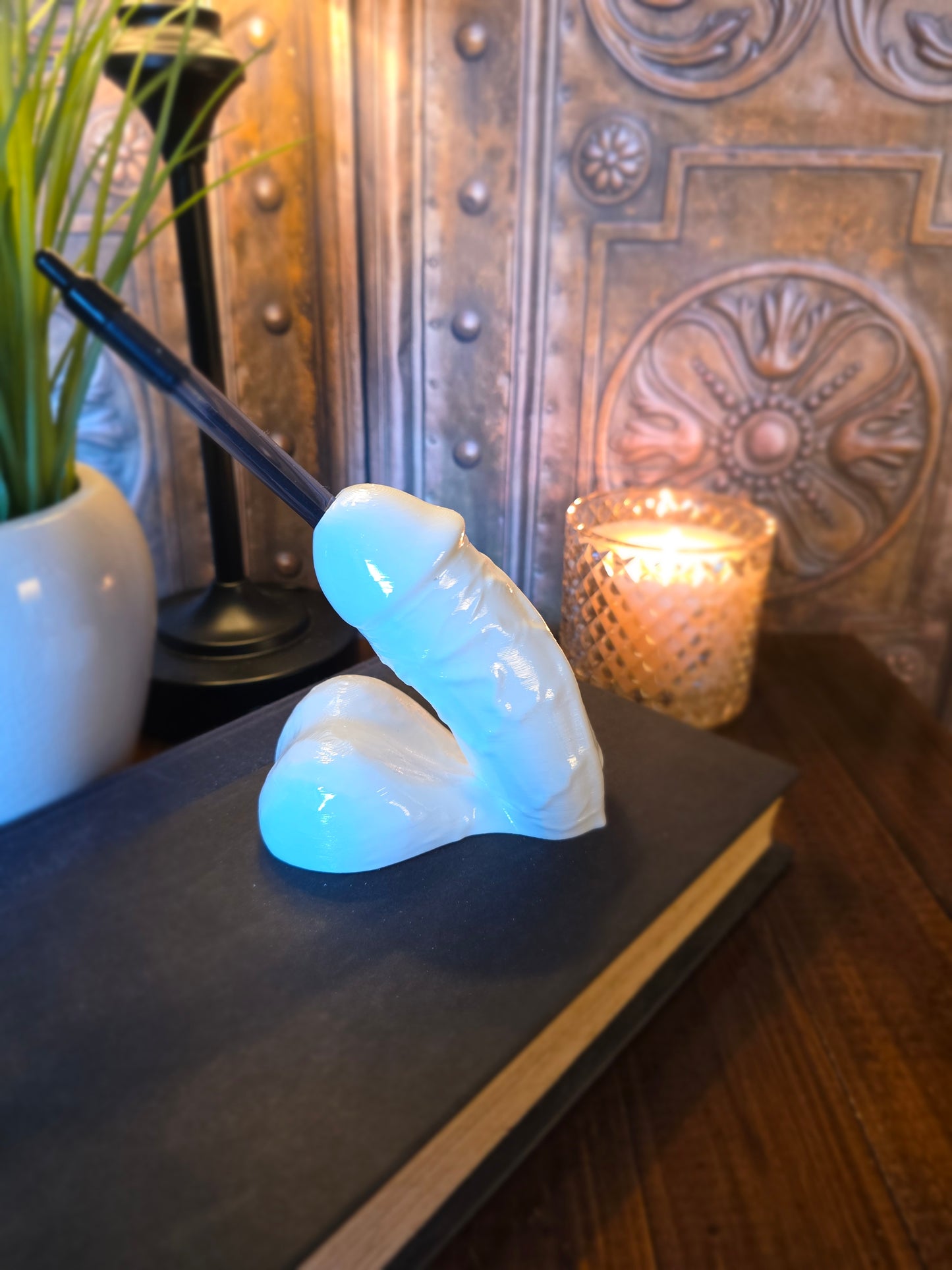 Penis Pen Holder