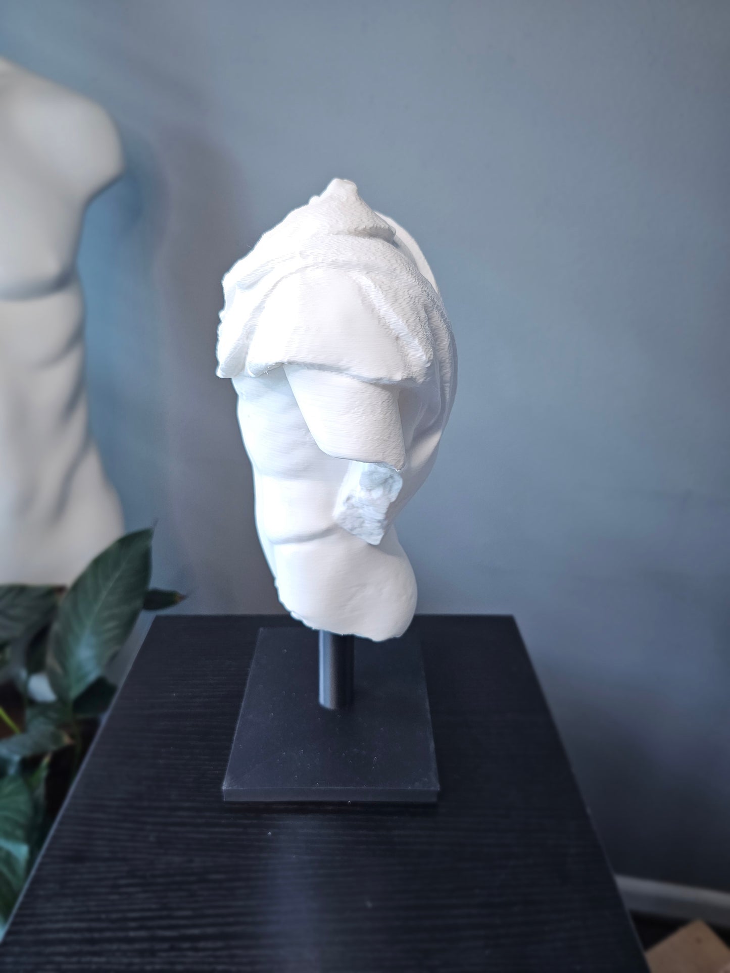 Roman Torso Small