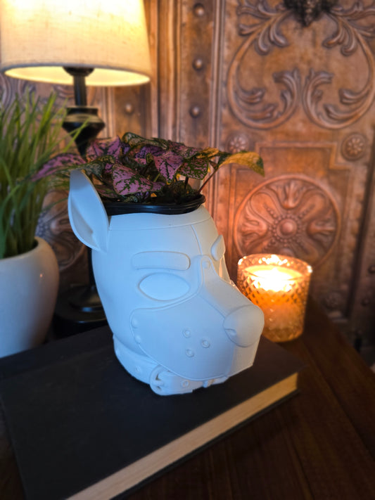 Pup Hood Planter