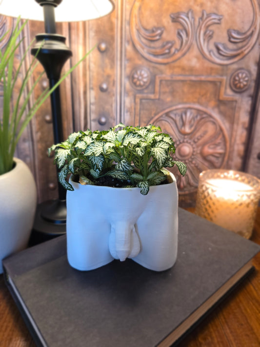 Uncut Planter