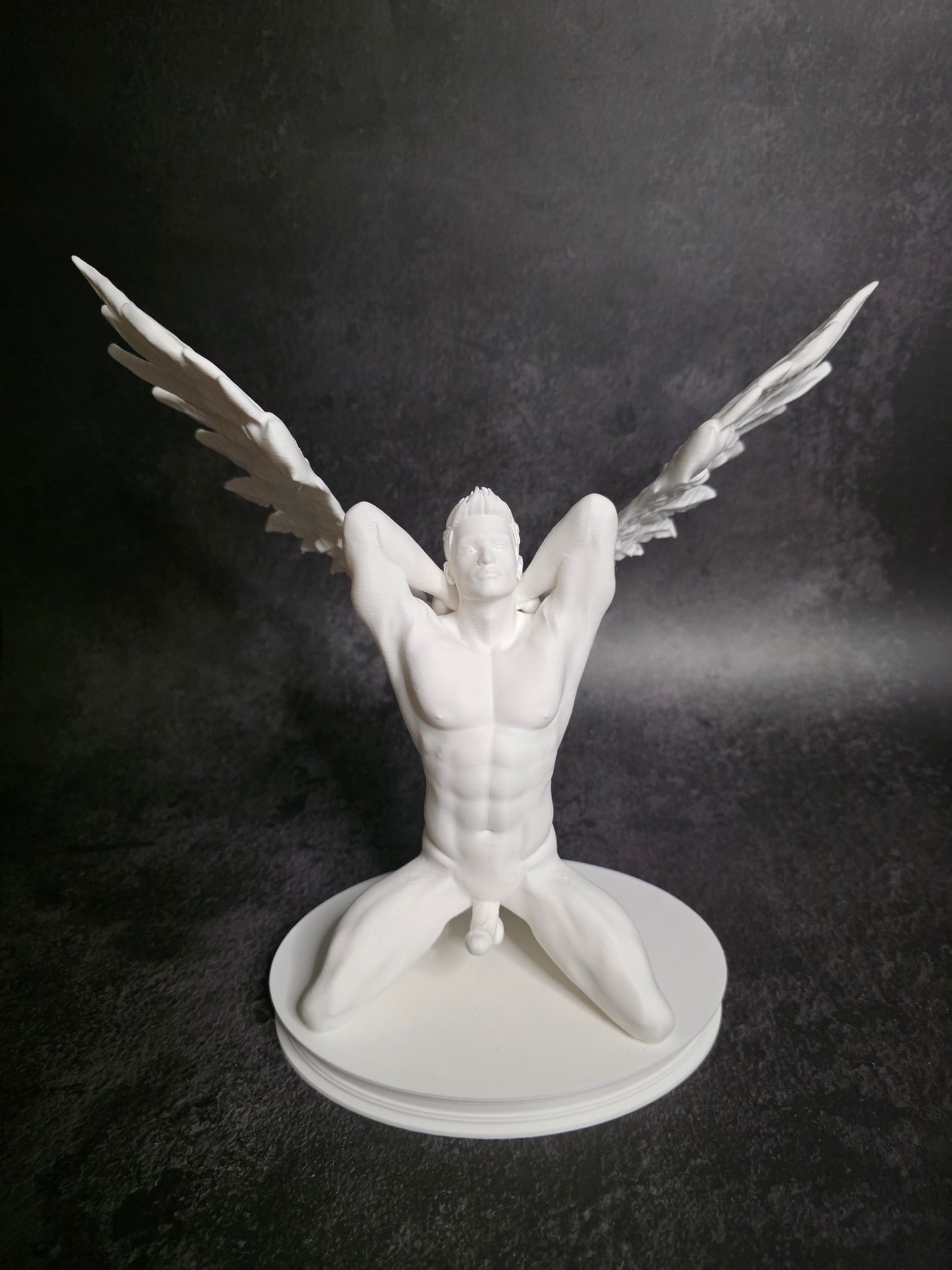 Winged Wonder
