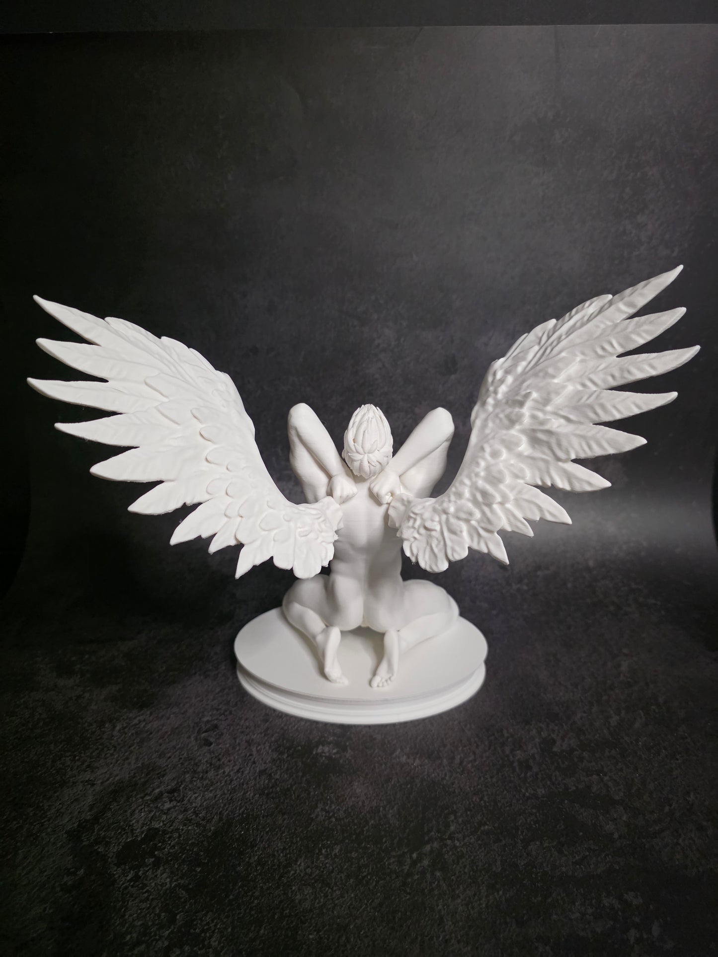 Winged Wonder