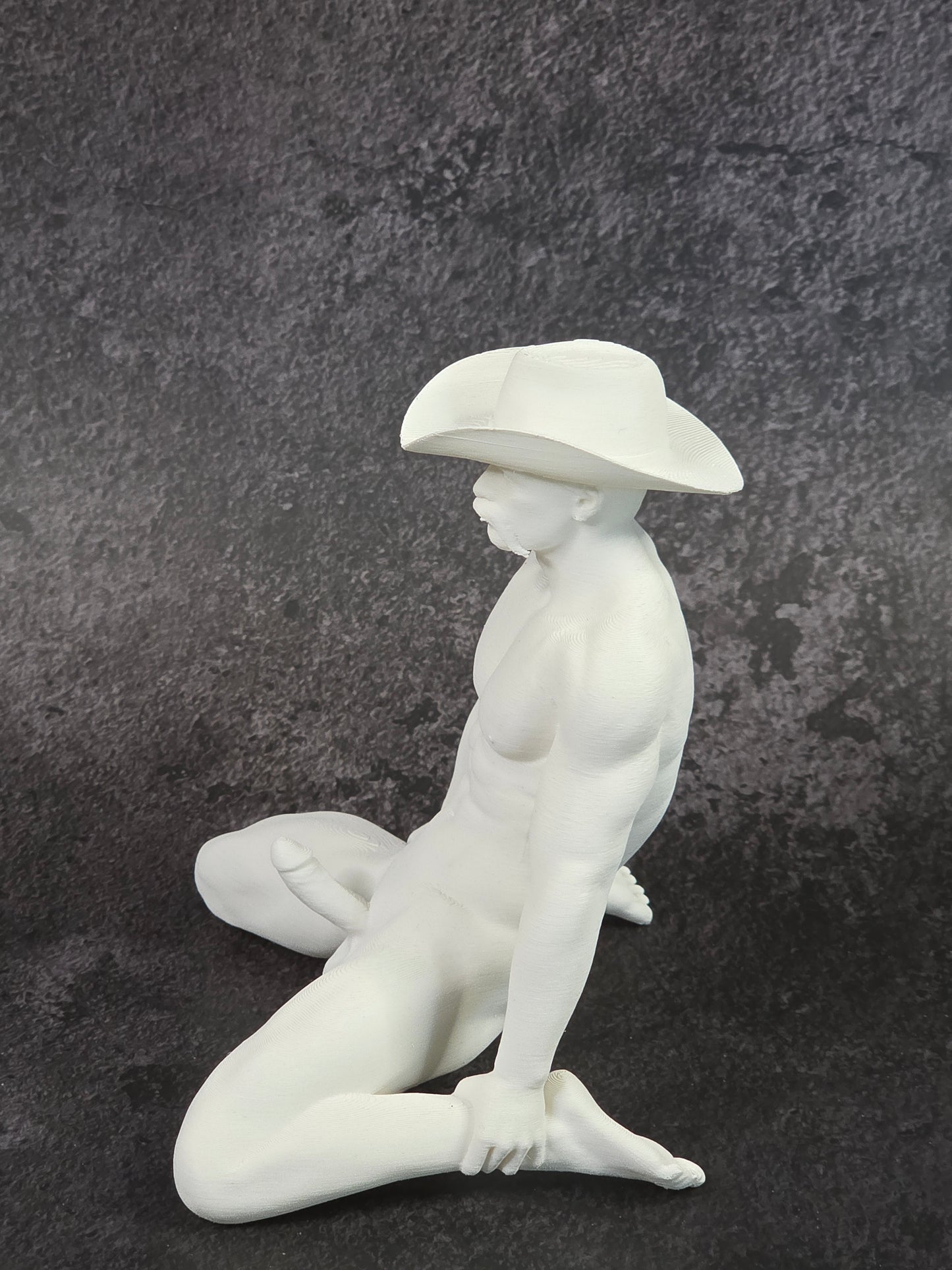 Paint at Home Cowboy Kit Save a Horse