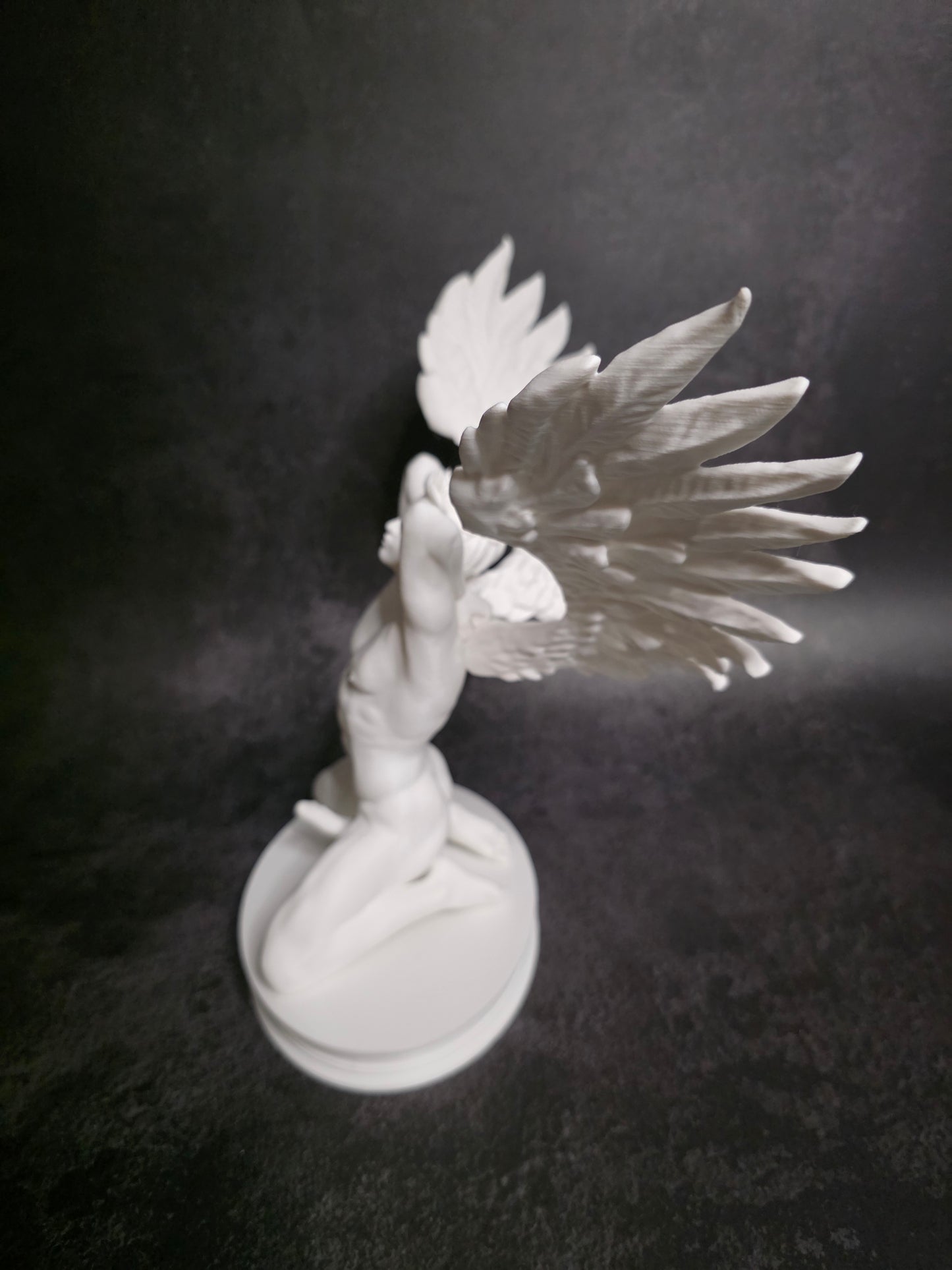 Winged Wonder