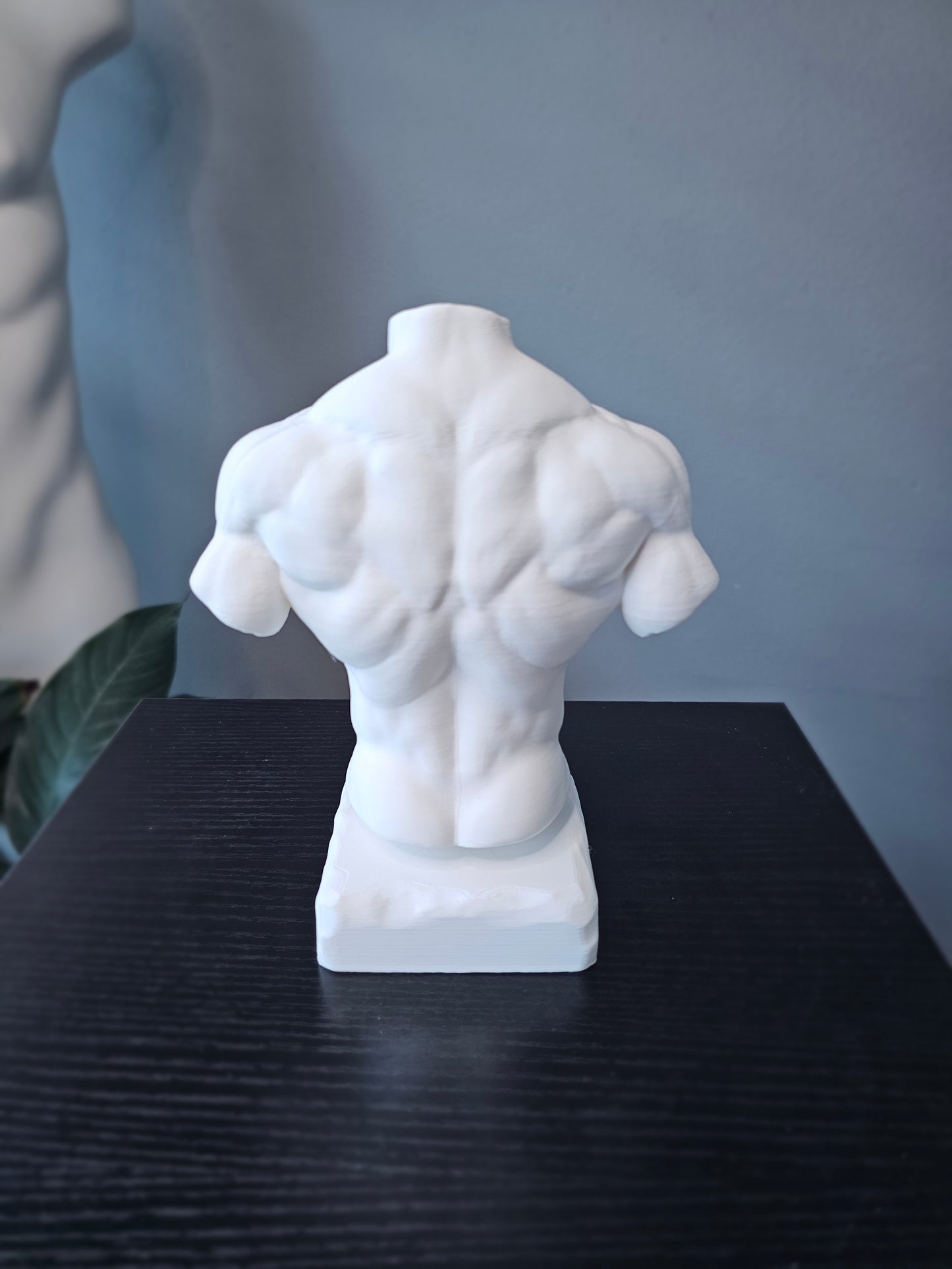 Muscular Torso